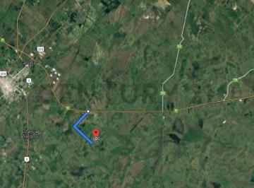 Campo · 410000m² · Campo de 41 Hectàreas - Rp 6 Km 82 Cañuelas