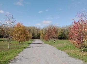 Terreno · 1500m² · Lotes en Villa Elisa