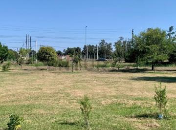 Terreno · 300m² · Venta de Lote en Melchor Romero, La Plata