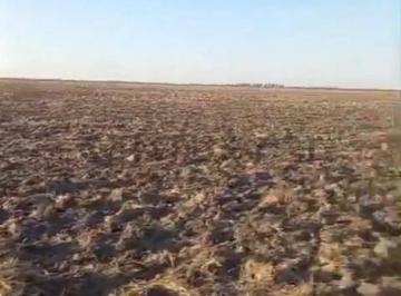 Campo · 2230000m² · Venta de Campo Agricola 223 Ha