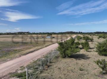 Terreno · 320m² · Terreno en Venta Los Talas - Berisso