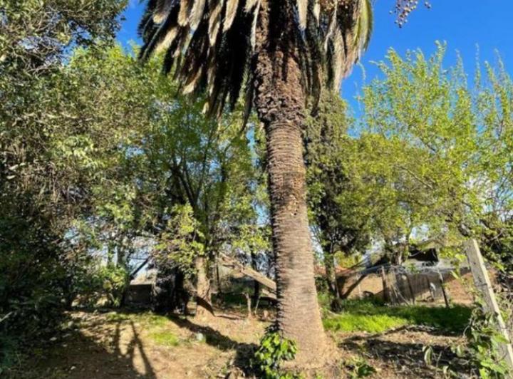 Terreno · 420m²