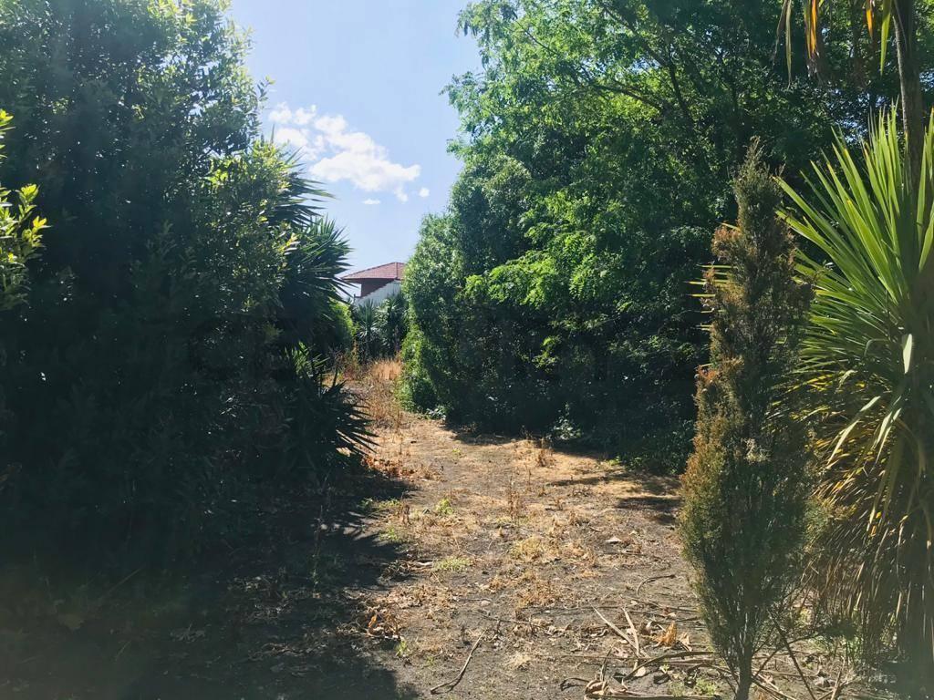 Lote en venta de 233 m² en estratégica ubicación — San Carlos
