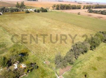 Campo · 110000m² · 11 Hectáreas de Campo Productivas en Colinas Verdes ID 28640