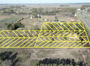 Terreno · 20000m² · Lote / Terreno en Venta, La Plata, Etcheverry.