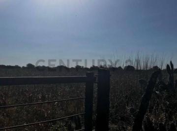 Campo · 105000m² · century 21 Vende venta de Campo Mixto de 10 Hectáreas y Media; en&nbs.