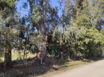 Terreno · 300m² · Lotes en Venta - Barrio Parque Sicardi