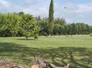 Terreno · 400m² · Lotes Escriturables en Oliveros - Ideal Desarrollos