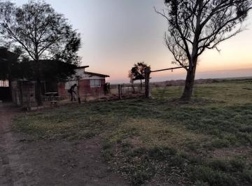 Campo · 1800m² · Campo en Venta