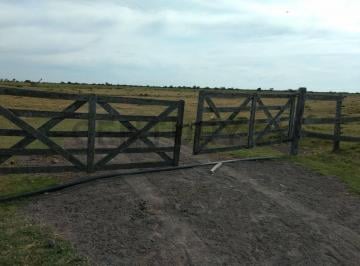Campo · 710m² · Campo en Venta
