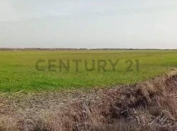 Campo · 92m² · Campo en Venta