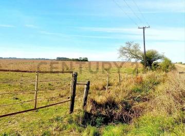 Campo · 82m² · Venta de Campo Mixto en Calchaqui, Santa Fe82 Hectáreas de Campo Ganadero, con Pasturas Impla.