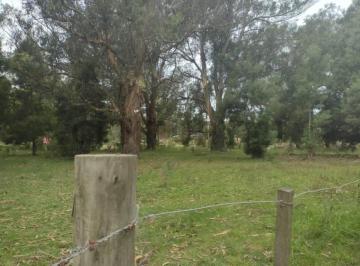 Terreno · 472m² · Excelente Lote en San Jacinto ID
