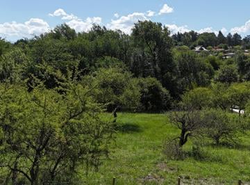 Terreno , Santa Rosa de Calamuchita · Lote – Venta 1000 m² - B° Santa Mónica – a m de La Ruta – Cód.2104