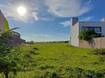 Terreno · 312m² · Venta Terreno Valle Cercano con Escritura. Entrega y Facilidades!