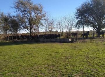 Campo · 85m² · Venta Campo Agrícola y Ganadero en Armstrong