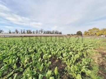 Campo · 50000m² · Campo de 5ha en Zona Las Retamas