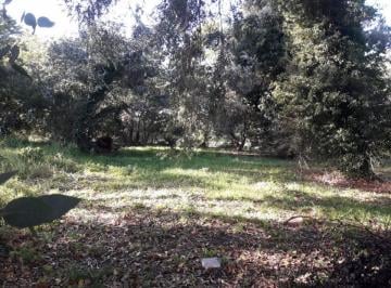 Terreno · 603m² · Vendo Lote en Sierra de Los Padres Zona Golf