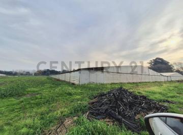 Campo · 65000m² · venta de Campo, Mar del Plata century 21 Recanatti Tie.