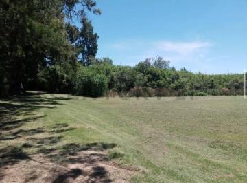 Campo · 1m² · Campo en Venta