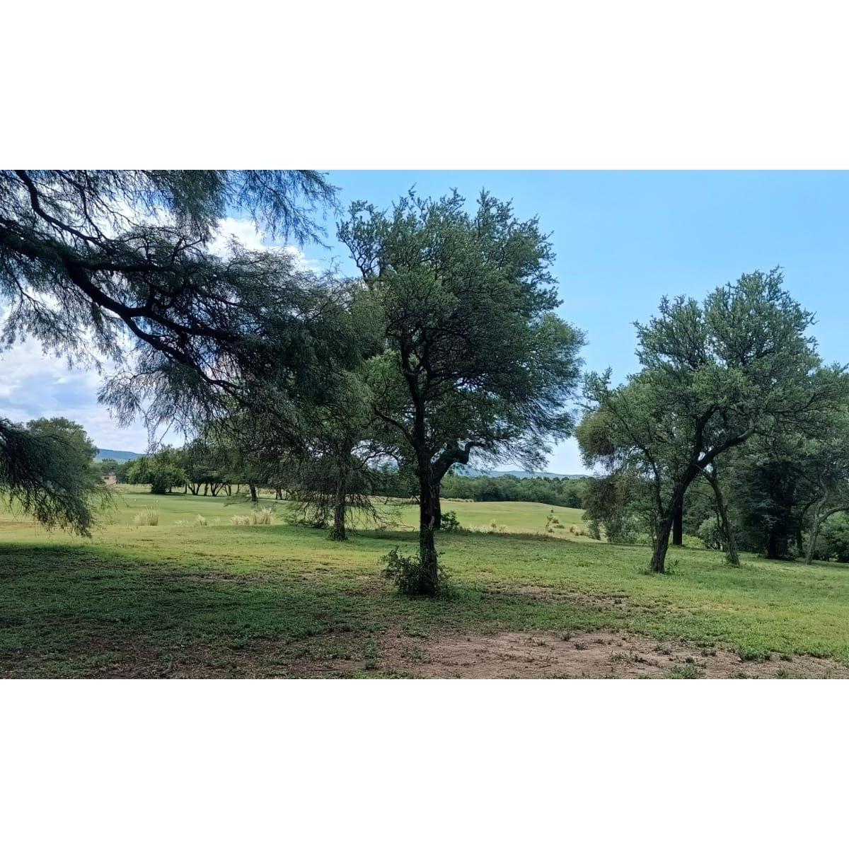 VALLE DEL GOLF, Malagueño, Malagueño