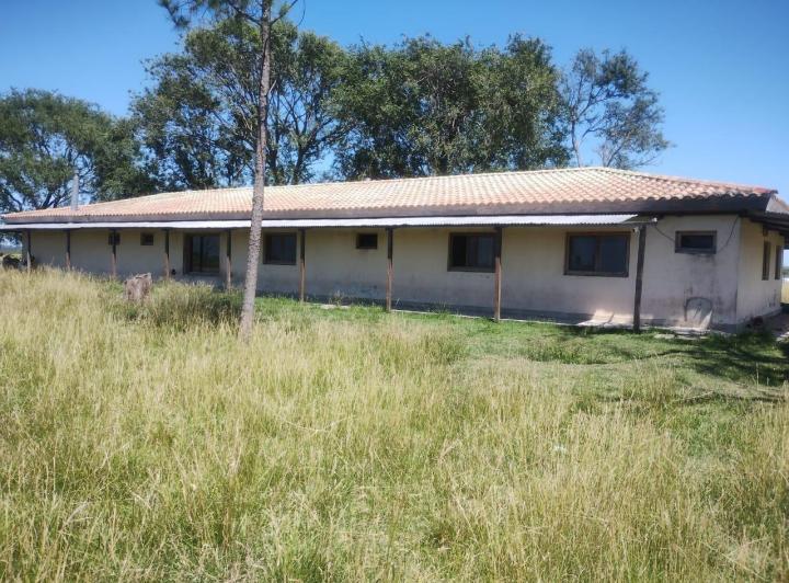 Campo · 500ha · 3 Ambientes