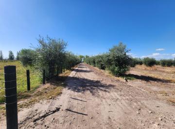 Campo · Finca y Construcciones en Venta en Maipu