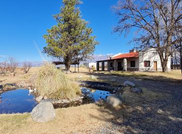 Campo de 6 ambientes, Los Árboles · Venta de Finca en Los Arboles Tunuyán - Mendoza