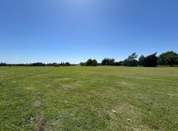 Terreno · 1250m² · Lote en Venta en Medal Country Club, Pilar