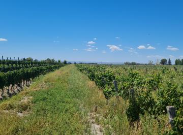 Campo , San Carlos · Venta de Finca en Altamira, San Carlos