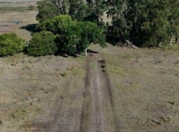 MBO-MBO-273_2 · Quinta. | Ruta 29, Km 26