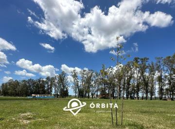 Terreno · 507m² · Lote en Venta Barrio Santa Sofía, Pilar del Este, Fondo Al Verde