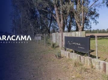 RRA-RR1-1607_2 · Lotes en Venta en La Eugenia - Maximo Paz