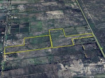 Campo · 158000m² · Oportunidad Venta de 2 Fincas Aledañas en Cañada Seca, San Rafael, Mendoza. Frutihorticola, Forra