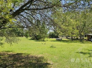 Campo · 20000m² · Chacra con Mejoras y Arboleda