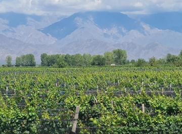 Campo , San Carlos · Contacto Propiedades Inmobiliaria Vende Finca en El Cepillo, San Carlos.