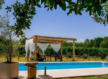 Campo , Tunuyán · Inmobiliaria Contacto Vende Complejo Turistico con Finca.