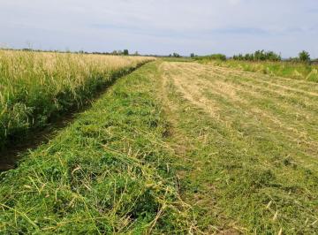 Campo , Rivadavia · Contacto Propiedades Inmobiliaria Vende Finca