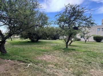 Terreno · 1250m² · Venta - Lote de 1250 m² con Proyecto y Aranceles Pagos - La Arbolada Hollywood - Financiación