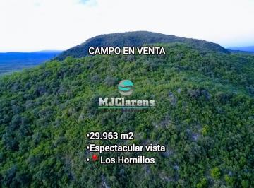 Terreno · 29963m² · Campo de 3 Hectáreas con Vistas Panorámicas - Los Hornillos