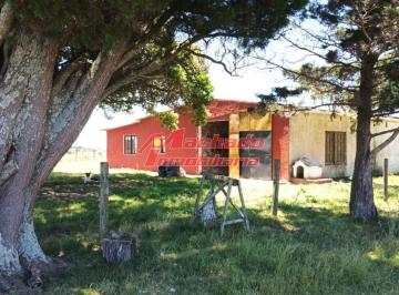 Foto1 · Chacra en Venta en Sierras del Carapé