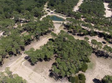 Terreno · 1233m² · Lote en Venta Pinamar Norte Barrio Bosques