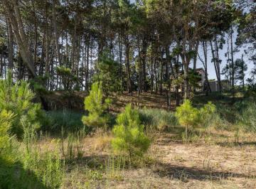 Terreno · 798m² · Lote en Venta Pioneros Pinamar