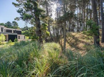 Terreno · 798m² · Lote en Venta Pioneros Pinamar