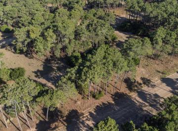 Terreno · 1040m² · Lote en Venta Pinamar Bosques