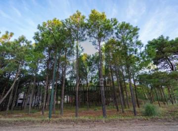 Terreno · 854m² · Lote en Venta Pinamar Norte