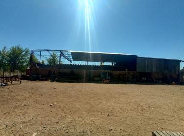 Bodega-Galpón · 300m² · Galpón Ubicado en La Ciudade de Senillosa, Provincia de Neuquén.