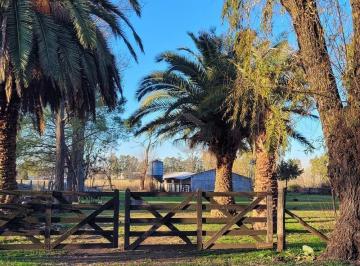 Campo · 50000m² · 3 Ambientes · 2 Cocheras · Terreno Campo en Venta en Parada Robles, Exaltación de La Cruz