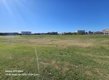 SAB-SAB-18_2 · Lote Interno en Isla Area 8