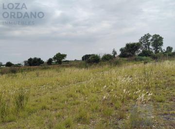 Terreno · 524m² · 4 Dormitorios · 1 Cochera · Terreno en Chacra de La Merced de 2ha 588 m. con 3 Casas y un Galpón